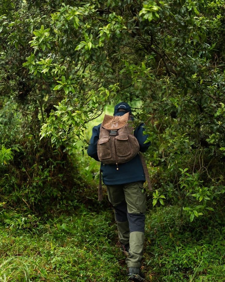 VOLCANOES NATIONAL PARK