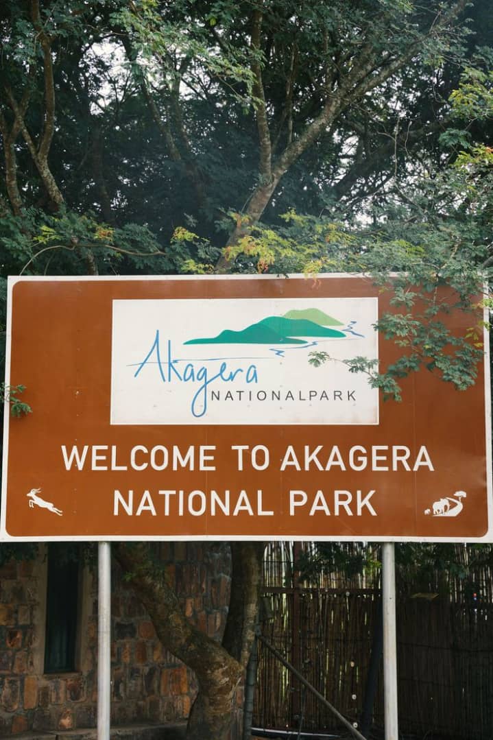 Akagera national park