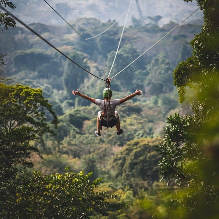Nyungwe national park